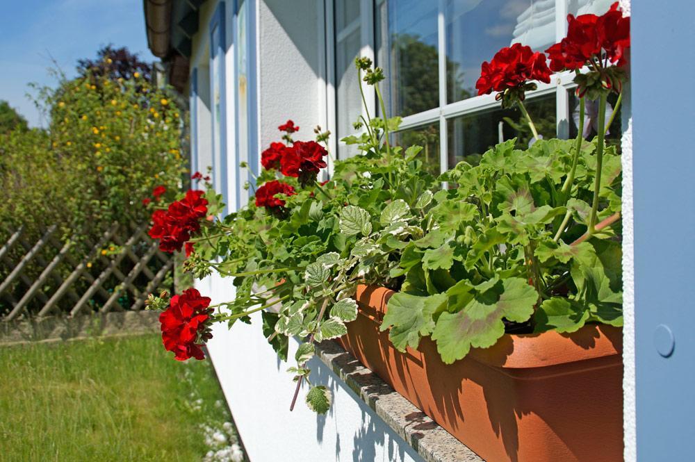 Ferienwohnanlage Bruckner Apartment Rostock Exterior photo